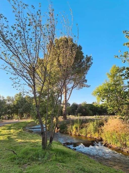 קסם של אירוח Daire Hagoshrim Dış mekan fotoğraf